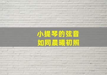 小提琴的弦音 如同晨曦初照